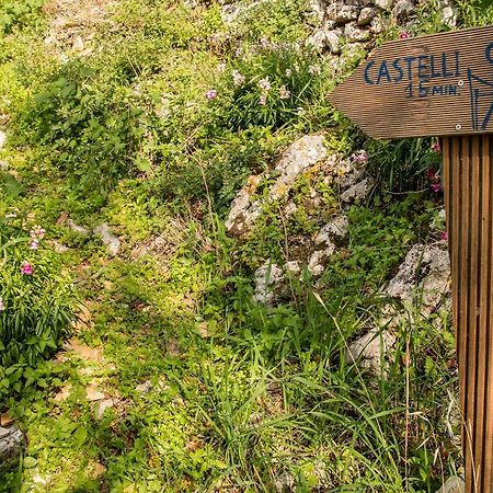 Гостевой дом Castelli Olive Press Ахарави Экстерьер фото