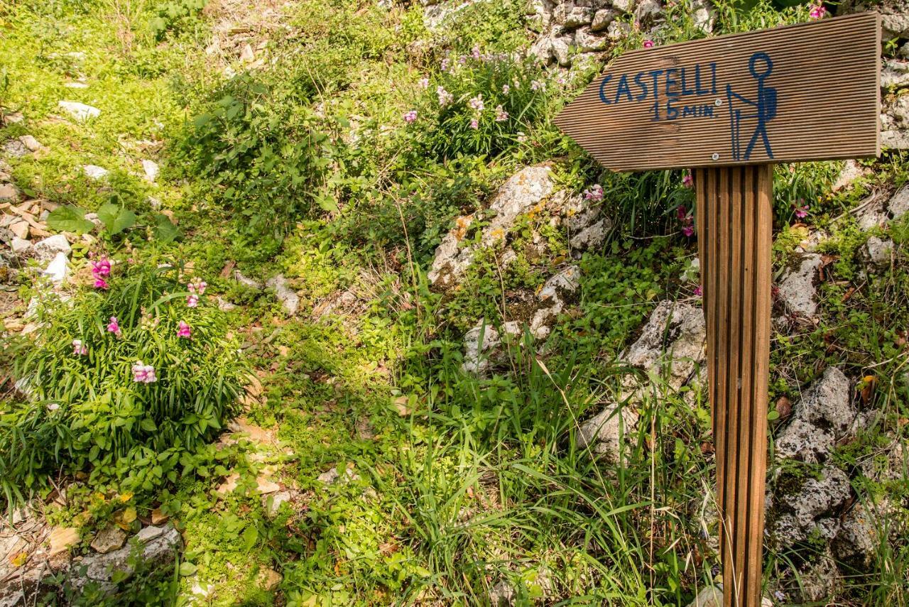 Гостевой дом Castelli Olive Press Ахарави Экстерьер фото